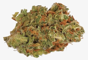 Amnesia Haze - Blue City Diesel #1237369