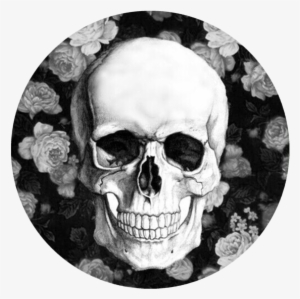 Skull Pop Grip - Caveira Papel De Parede #1238405