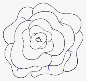 How To Draw Rose Flower Step - Drawing - Free Transparent PNG Download ...