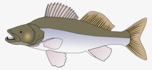 Fins Clipart Big Fish - Clip Art Big Fish #1239103