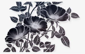 Flowers Drawing Illustration, Png File Vectors Pinterest - Drawing #1239211