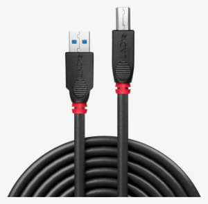 0 Hub Connection Cable - Lindy - Video Cable - Male 20 Pin Displayport #1240548