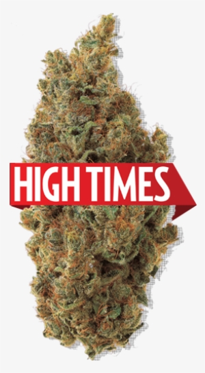 Teaching The World To Grow Since - High Times #1240871