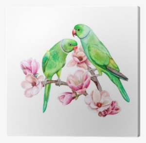 Rose Ringed Parakeet - Green Parrots Clipart #1240895