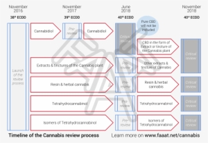 Below Is The Timeline Of The Different Part Of The - Parallel #1241007