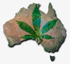 Australia Cannabis #1241655