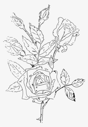 Victorian Rose Clipart Png Naatwh Clipart - Coloring Book #1241977