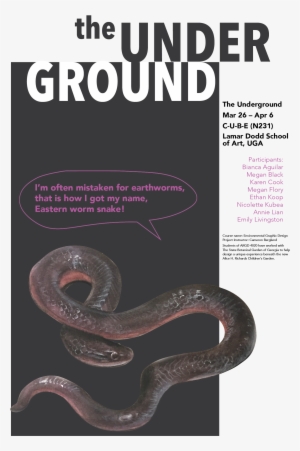 This Project Includes - Serpent #1243342