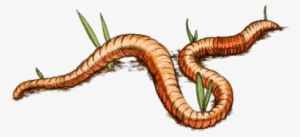 Earth Worm Drawing - Gusano Png #1243368
