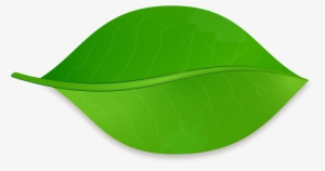 Related Wallpapers - Una Hoja De Arbol #1243502