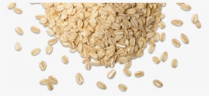 Picture Grain Png - Grains Png #1243595