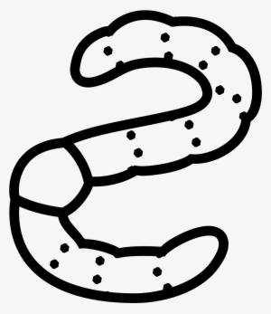 Earth Worm Icon - Earthworm #1243715