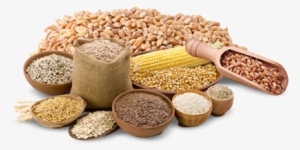 Grain Png Hd - Food To Live Organic Wheat Berries (50 Pounds) #1243757