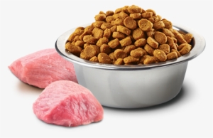 N&d Ancestral Grain Canine #1243784