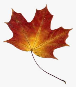 Hojas Png - Imagui - Gentle Hills - Trade Paperback #1244296