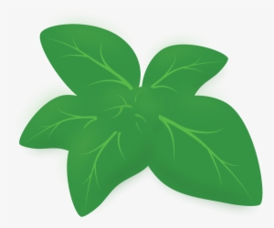 Orégano - Hoja De Oregano Png #1244323