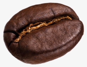 Grains De Café Png - .net #1244893