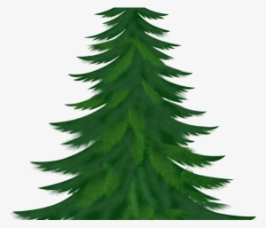 Pine Clipart Snow Tree - Fir Trees Clip Art #1245486
