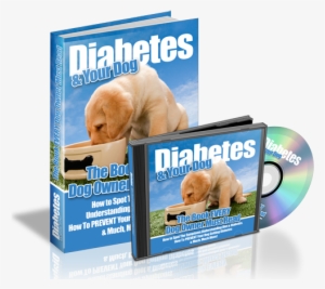 Diabetes Your Dog - Natiruts Reggae Power (sambaton) #1245854