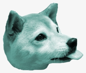 Today Is The Longest Day And, Because That Means Extra - Dog #1245988