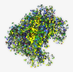 06 Feb 2009 - Weird Tree Png #1246065