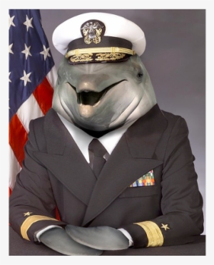 Fishlick 425pxsq Zpsyd7otagj - Admiral Dolphin #1246086