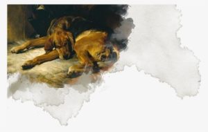 Stray - Sleeping Bloodhound #1246116 Stray - Sleeping Bloodhound #1246116