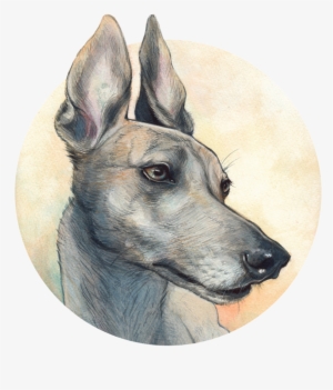 Pet Portraiture #1246201