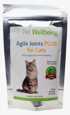 Image - Anatomy And Physiology For Veterinary Technicians And #1246263