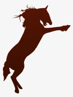 Birthday Parties At The Ranch - Horse #1246962