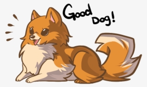 Missile - Pomeranian #1247750