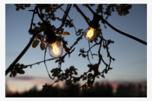 Led Lamp B22 A55 Decoration Party - Led Lamp #1247835