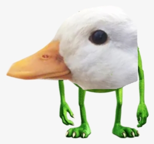 Here Is The Duck As Mike Wazowski #1247860