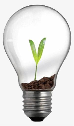 Social Innovation, A Binding Concept - Light Bulb #1248299