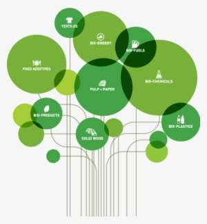 Innovation-tree - Innovation Forest #1248966