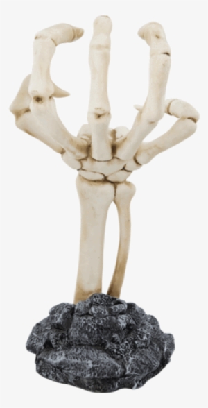 Skeleton Hand Display #1250702