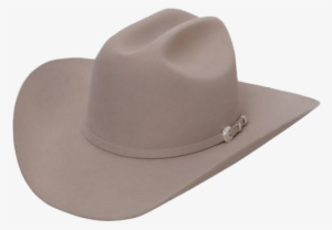 Shasta 10x - Silver Belly Cowboy Hat #1250852