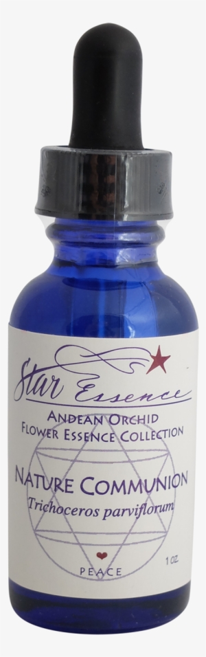 Nature Communion - Serumtologie C Serum 22 Ingredients #1251498