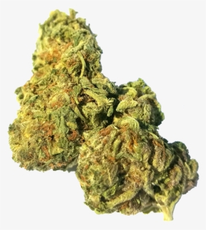 Master Kush Ultra By Bud Right - Kush #1251943