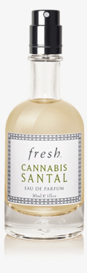 Share - Fresh Cannabis Santal Perfume #1252034
