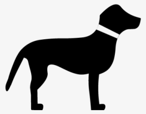 Svg Png - Dog Catches Something #1252417