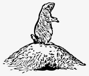 How To Set Use Prairie Dog Icon Png #1252614