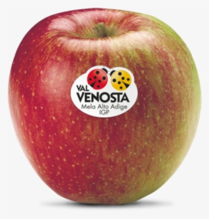 Braeburn Braeburn - Manzana Braeburn #1253468