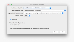 Bigstitcher Register Basic - Portable Network Graphics #1253595