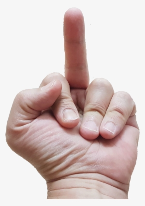 15 Replies 13 Retweets 54 Likes - Peineta Con La Mano #1254458