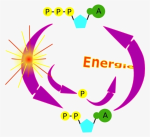 How To Set Use Cycle Clipart #1254463