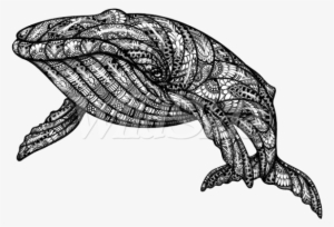 Black & White Whale With Bandana Pattern - Kerchief #1256776