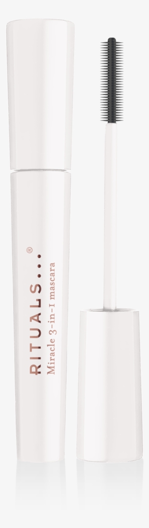 Miracle 3 In 1 Mascara - E.l.f. Studio 3-in-1 Mascara #1256846