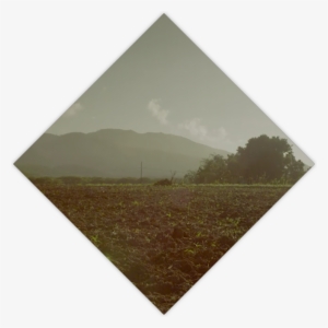 The Climate - Hill #1258278