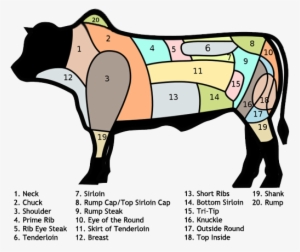 Beef Cuts In Brazil - Cortes De Vaca En Brasil - Free Transparent PNG ...